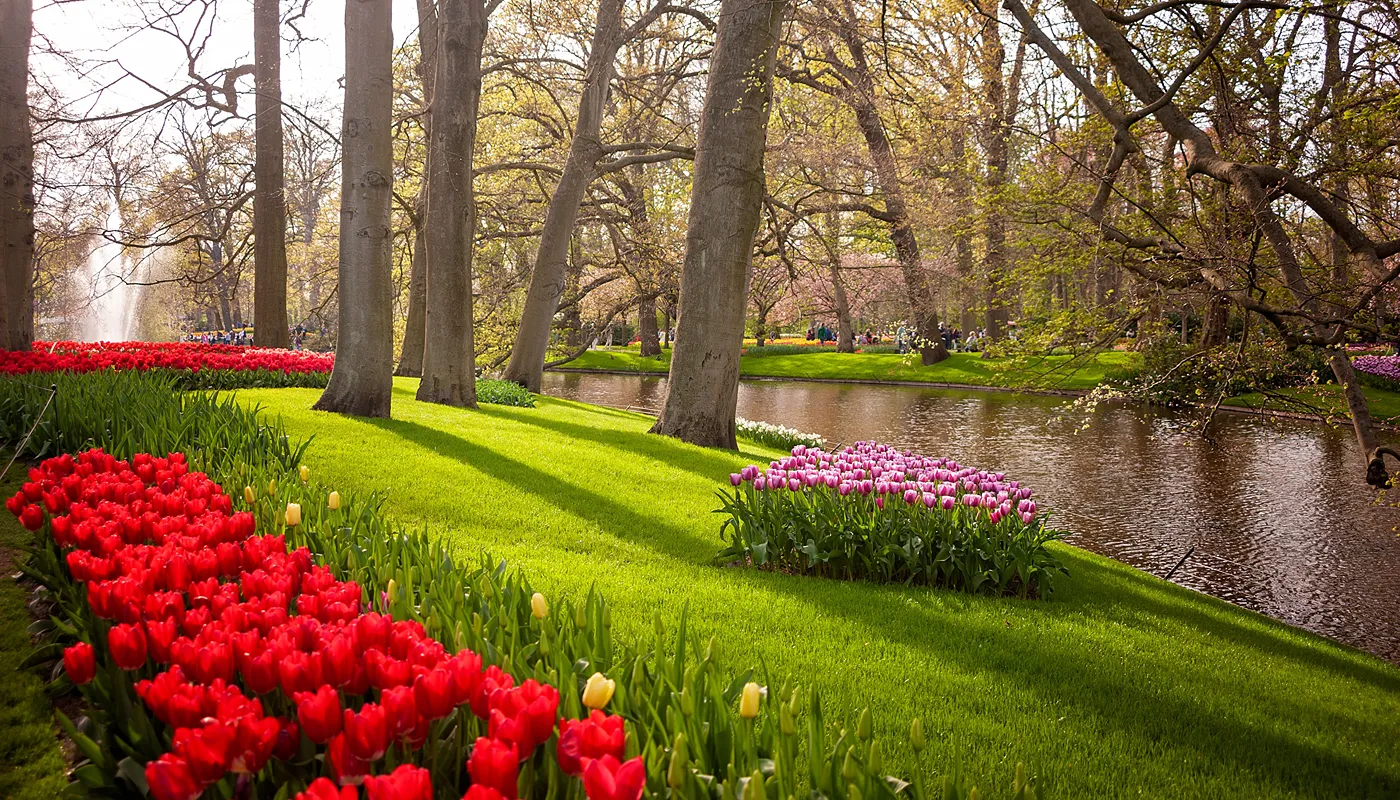 Keukenhof Gardens Keukenhof Gardens Lisse