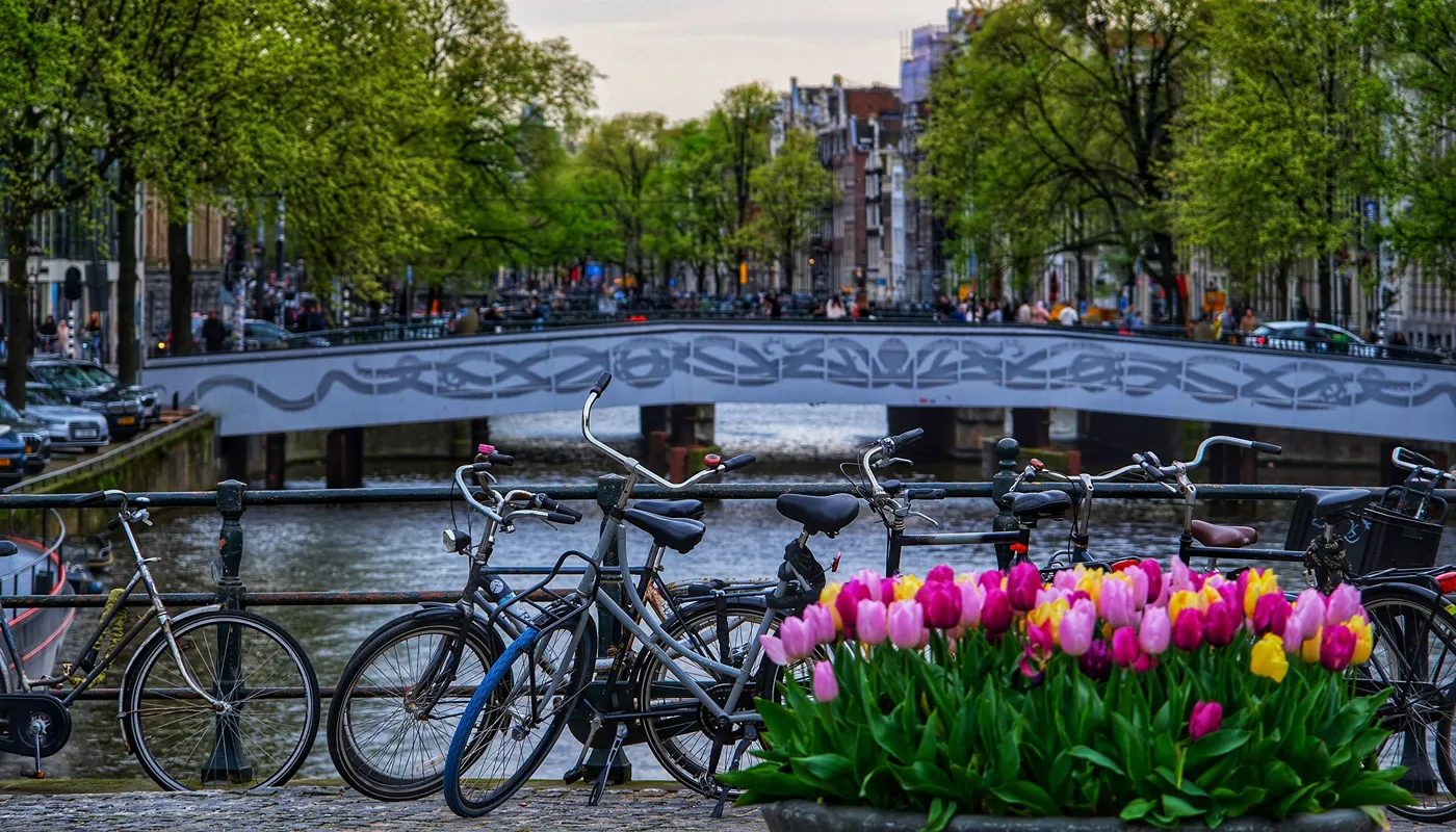 Netherlands Netherlands